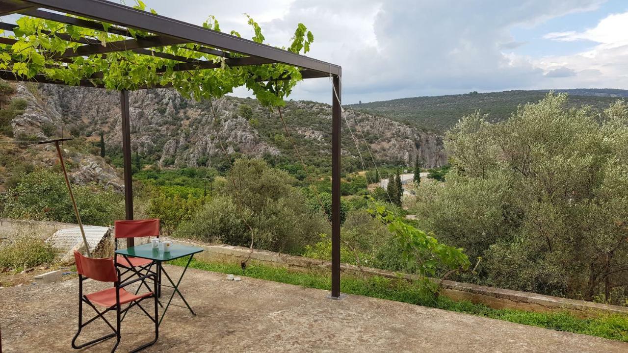 Ample Modern Country Home Nea Epidavros Exteriér fotografie