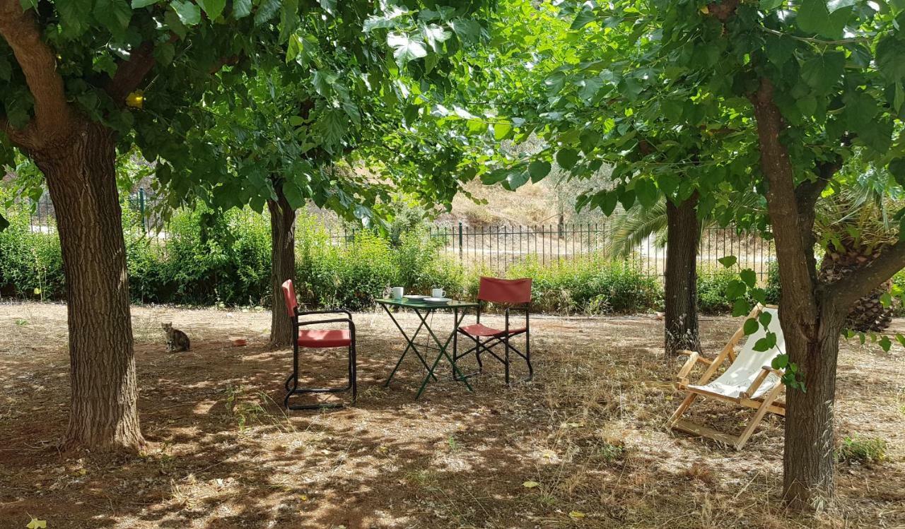 Ample Modern Country Home Nea Epidavros Exteriér fotografie